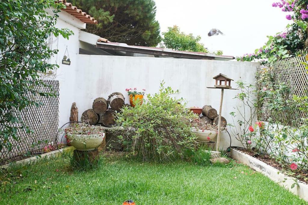 リバマル Beija-Flor Houseヴィラ エクステリア 写真